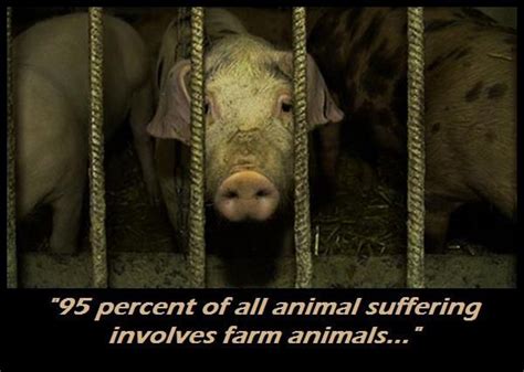What Is Shown About Suffering And Hardship In Animal Farm